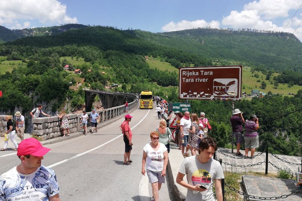 Česte gužve na Đurđevića Tari, Foto: Obrad Pješivac