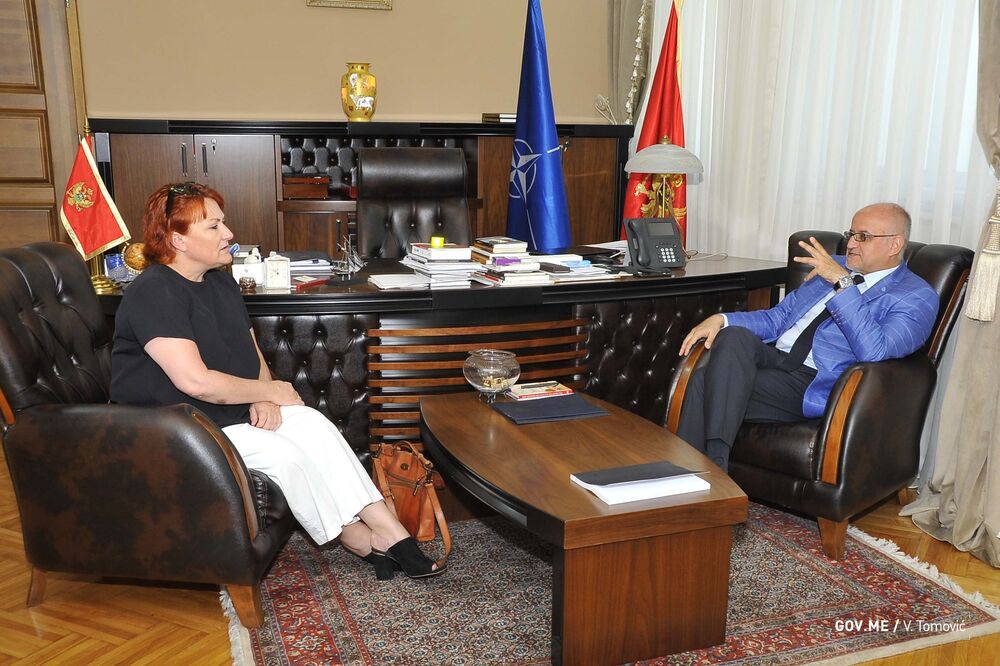 Hačinson i Darmanović, Foto: MVP