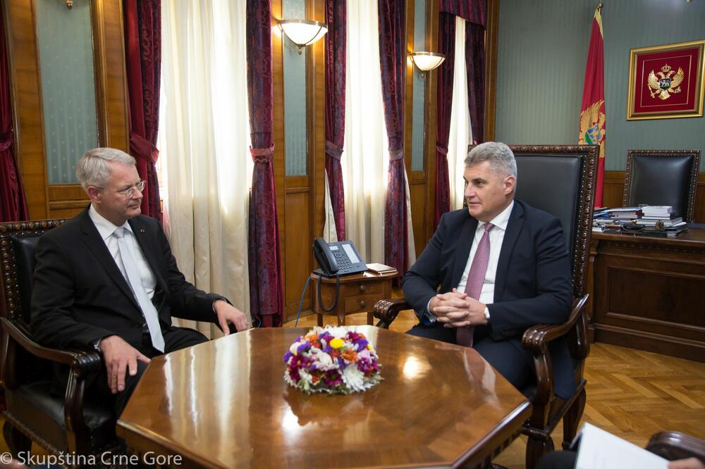 Sa sastanka Lahdevirta i Brajovića, Foto: Skupština Crne Gore