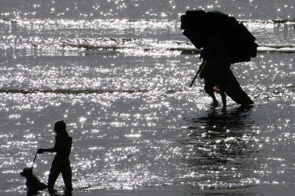 Detalj iz Francuske, Foto: Reuters