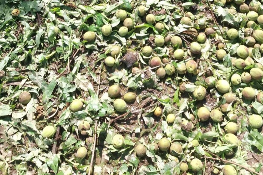 Jabuke koje nijesu za ljudsku upotrebu  su prodavane uz dodatak šećera