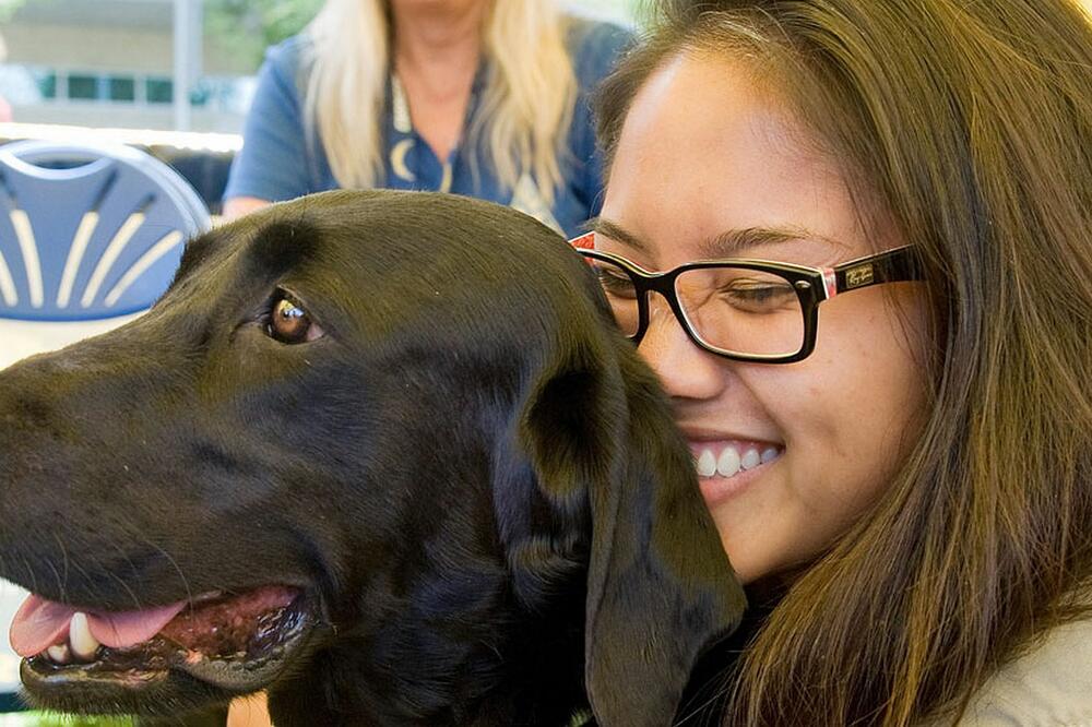 Terapeutski psi žive u mnogim univerzitetima širom sveta, Foto: Getty Images