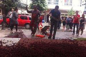 Maline stigle za berbu, a cijene još nema