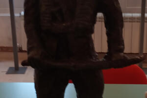 Nagrađen rad Lele Redžepagić