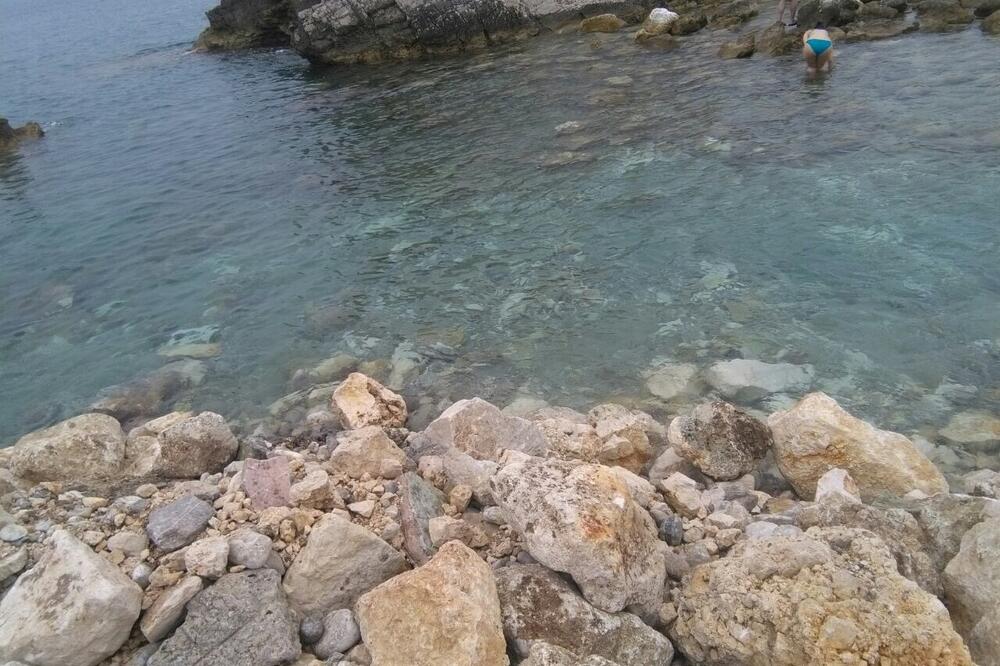 Oslobođen prirodni prolaz, Foto: Vuk Lajović