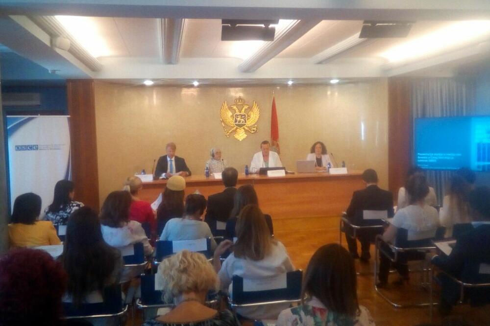 Sa prezentacije istraživanja, Foto: Borko Ždero