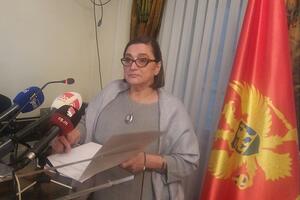 DSS Kotor: Da li je SDP isključio iz članstva Brguljana koji je sa...
