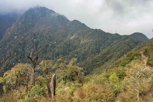 Zašto je najviša planina u Indokini porasla