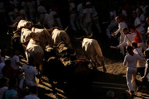 Pamplona: U novoj trci s bikovima povrijeđeno šest ljudi