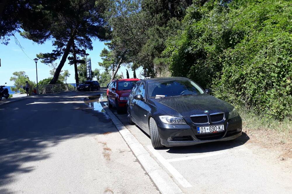 Ulcinjska Borova šum, Foto: Boje jutra