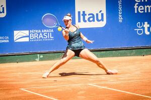 Danka Kovinić u polufinalu singla i dubla u Baštadu