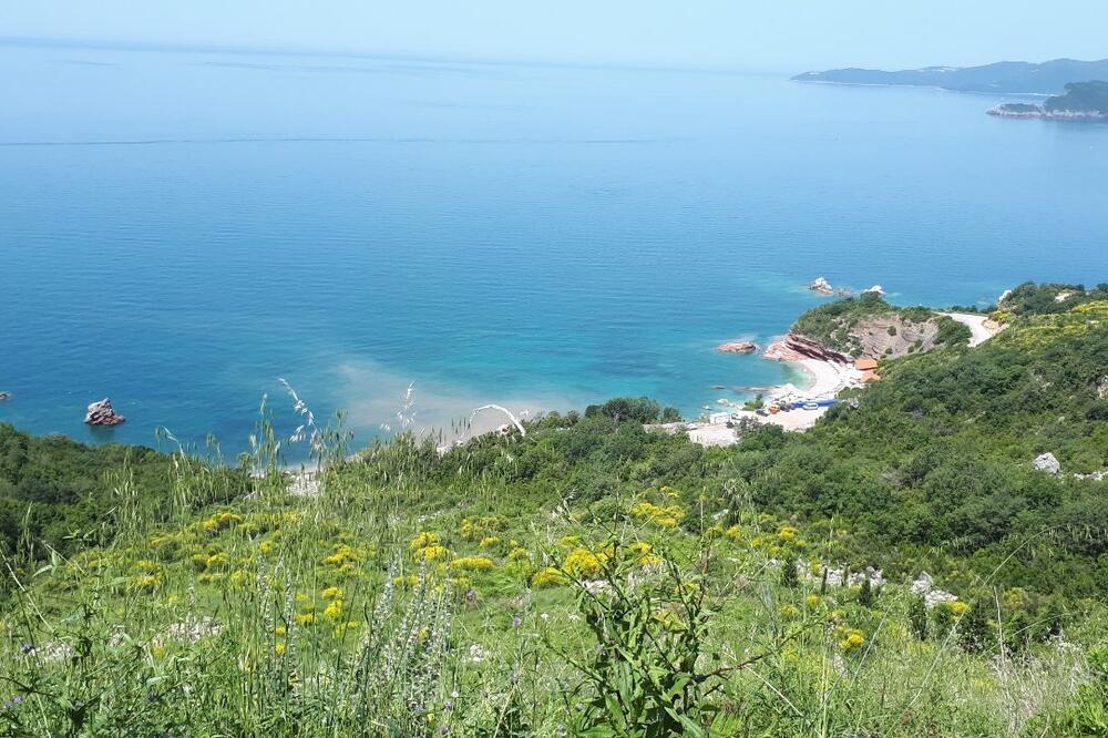 Holanđani bi gradili luksuzni kompleks: RT Galija Budva, Foto: Vuk Lajović