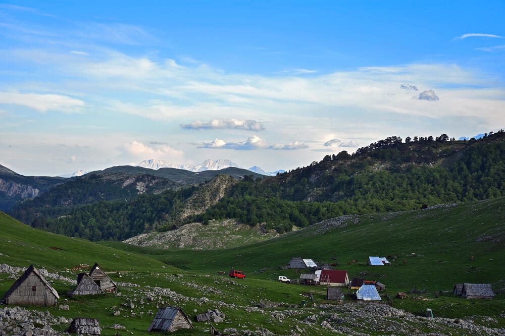 Protest protiv poligona danas na Savinim vodama: Sinjajevina, Foto: Igor Stojović