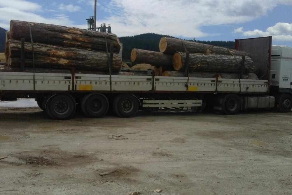 Zaplijenjena građa, Foto: Ministarstvo poljoprivrede