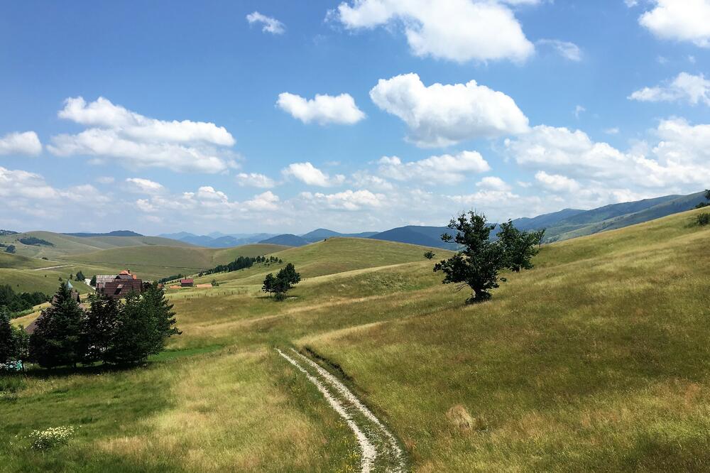 Zlatibor, Foto: Dragoslav Dedović