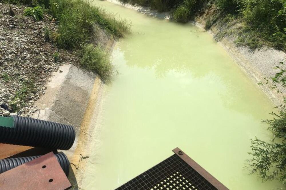 Vezišnica, Foto: Milorad Mitrović