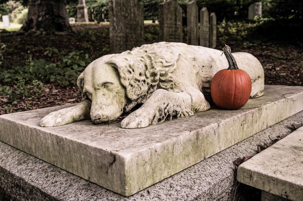 Groblja za ljubimce postoje  i u regionu, Foto: Shutterstock