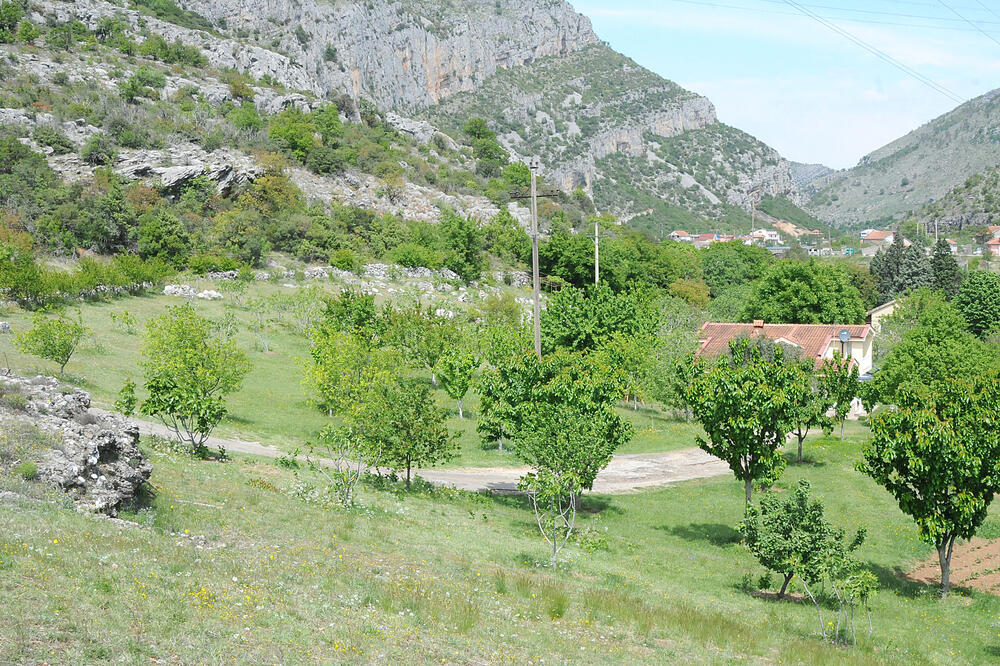 Smokovac, Foto: Zoran Đurić