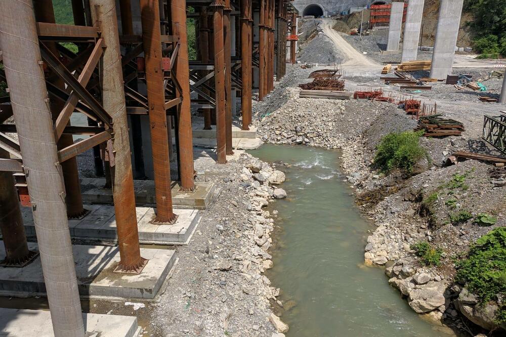 Tara danas, Foto: Vuk Ikovič