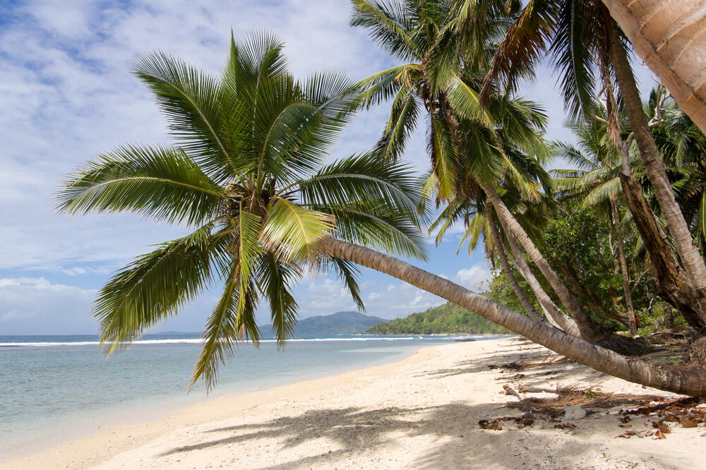 Ne mora biti ljeto da bi vas ove plaže oduševile... Jednako su magične ako ih posjetite u bilo koje doba godine. Kroz našu galeriju obiđite neke od sjajnih plaža Madagaskara, Portugalije, Meksika...