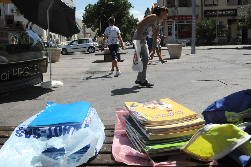 zvršiće se analiza zastupljenosti pojedinih predmeta, Foto: Luka Zeković
