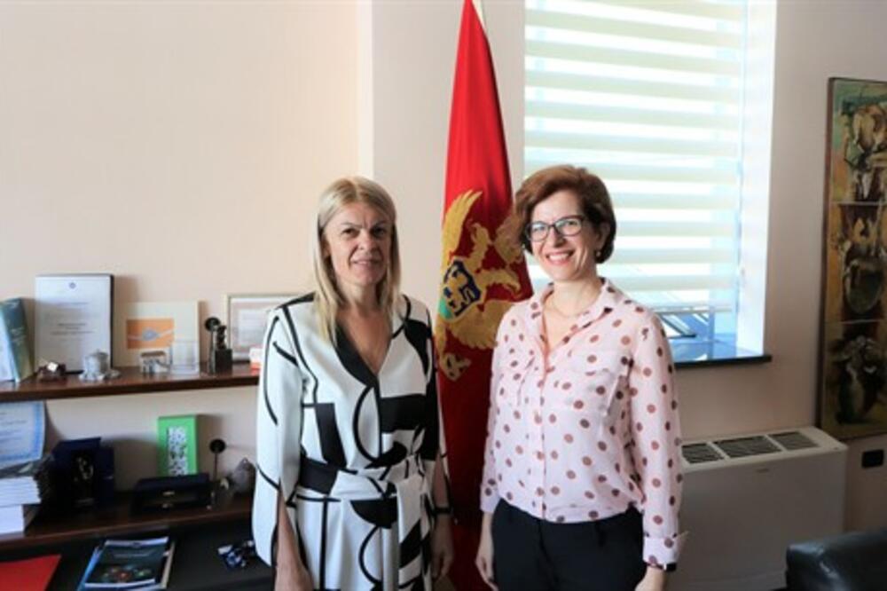 Damjanović i Gašparikova, Foto: Gov.me