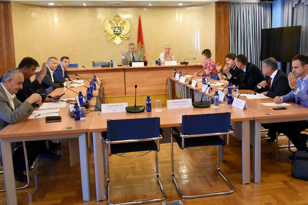 Sa sjenice odbora, Foto: Boris Pejović