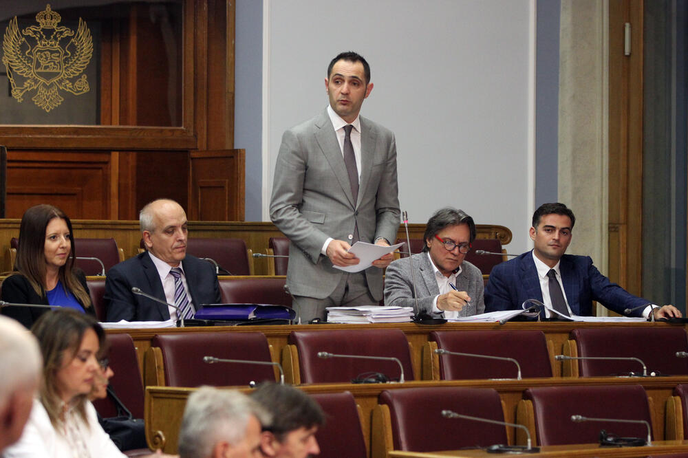 Pavle Radulović, Foto: Filip Roganović