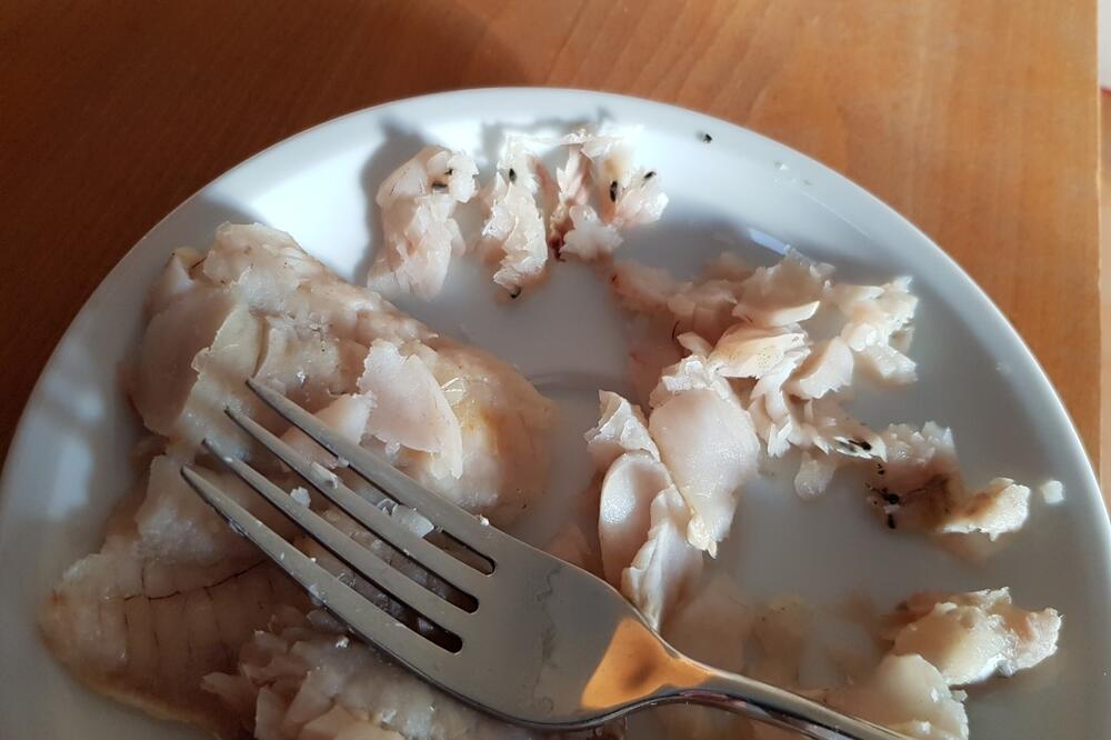 Zamrzavanjem se parazit inaktivira, Foto: Privatna arhiva