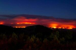 Portugal se bori sa šumskim požarima, 1.000 vatrogasaca na terenu...