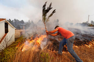 Šumski požari u Portugalu: 90 odsto pod kontrolom, upozorenje na...