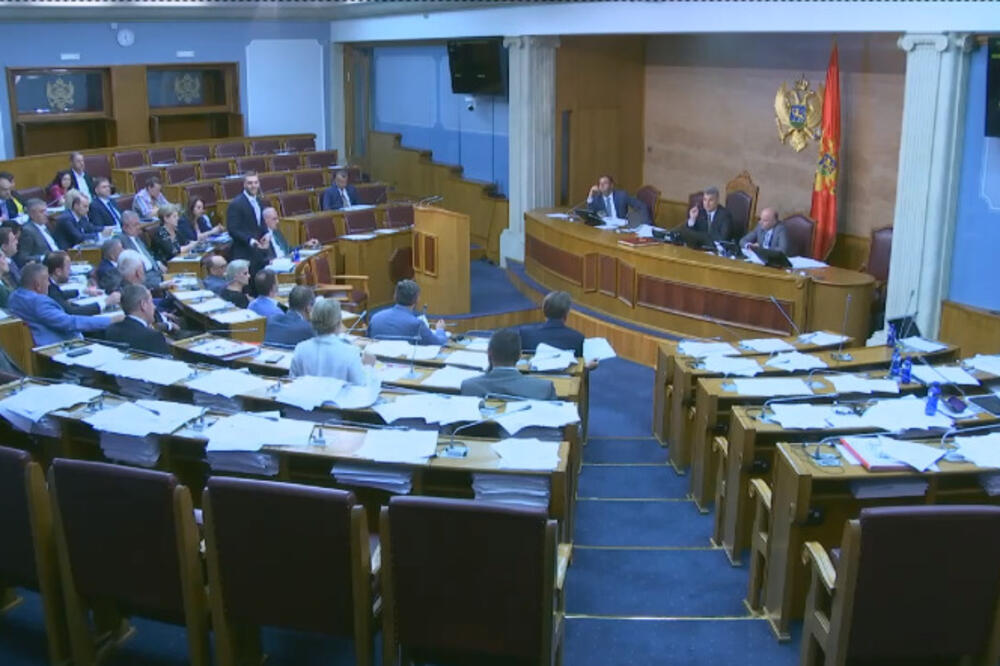 Detalj iz Skupštine, Foto: Printscreen YouTube