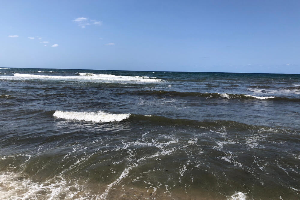 Ilustracija, Foto: Shutterstock