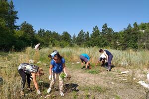 U Nikšiću uklanjali ambroziju sa tri lokacije