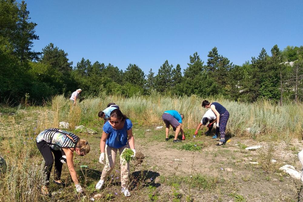 Akcija u Nikšiću, Foto: Svetlana Mandić