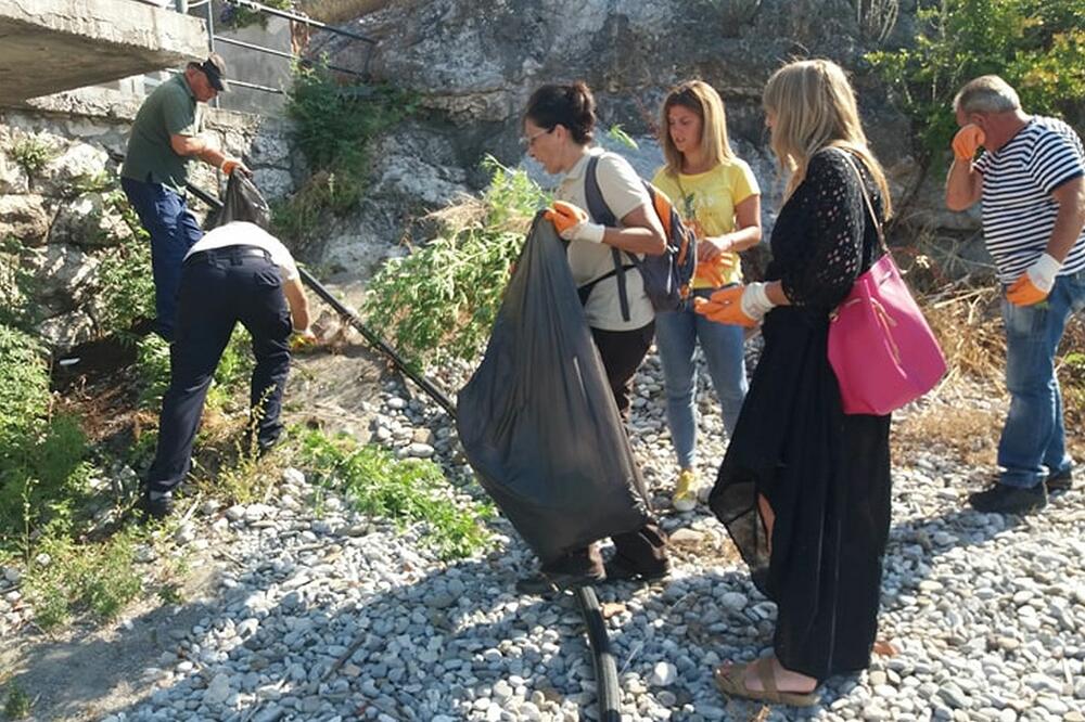 Sa akcije uklanjanja ambrozije, Foto: Nacionalni parkovi Crne Gore