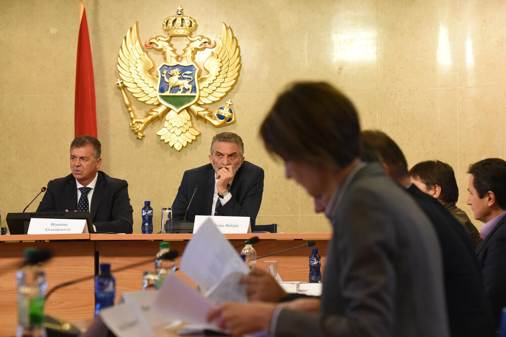 Opozicija čeka stav DPS-a: Sa sjednice Odbora, Foto: Savo Prelević