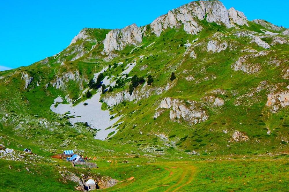 Sinjajevina, Foto: GI Sačuvajmo Sinjajevinu