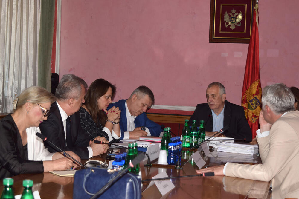 Sa ranije sjednice Odbora (arhiva), Foto: Luka Zeković