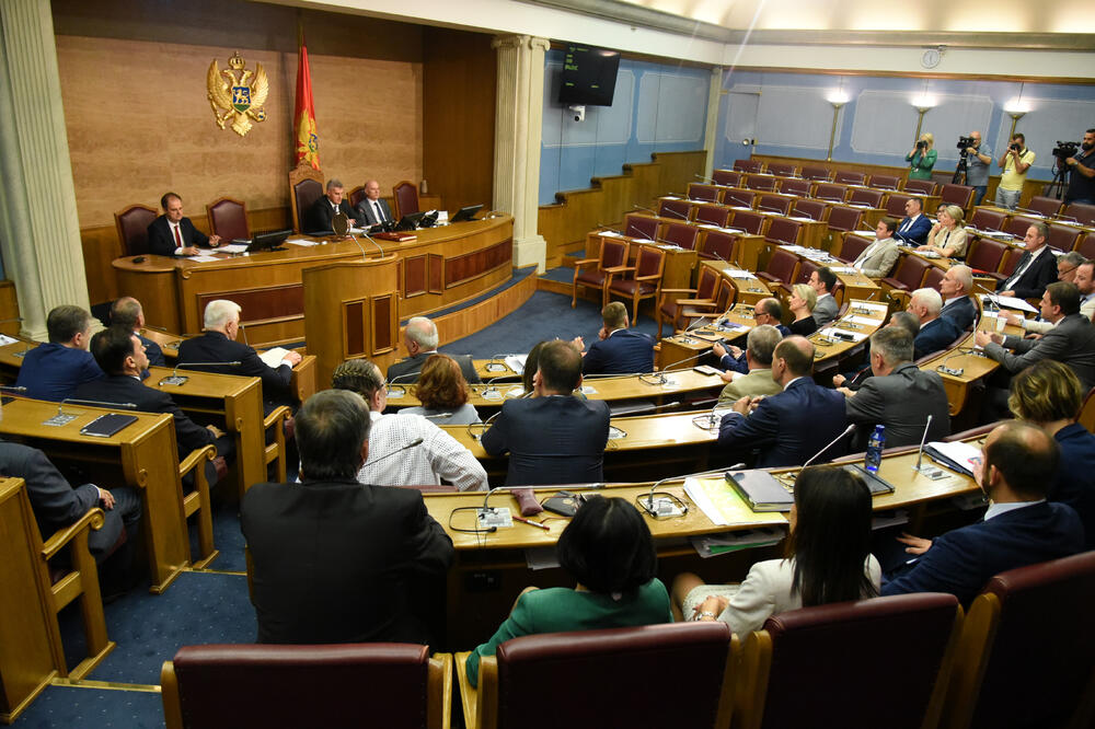 Detalj iz Skupštine, Foto: Boris Pejović