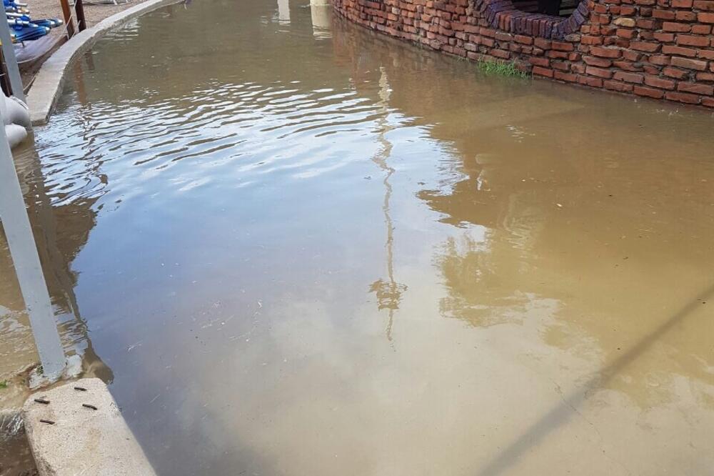 Rijeka fekalija potopila šetalište, Foto: Vuk Lajović