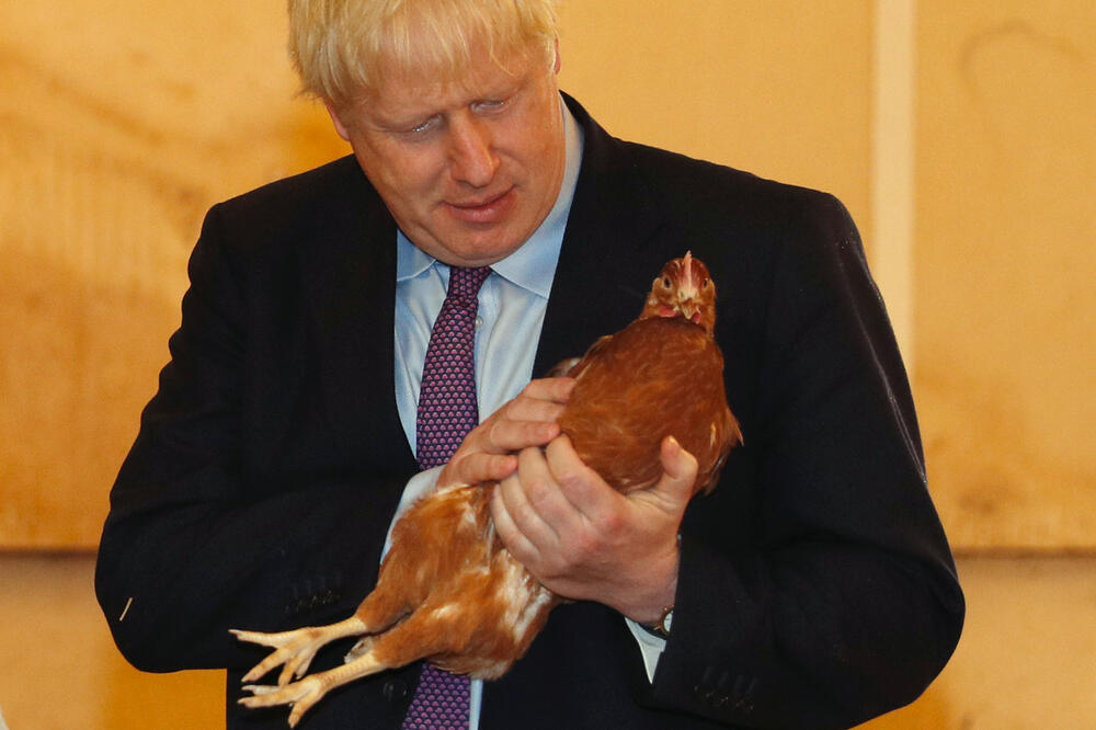 Boris Džonson, Foto: Reuters