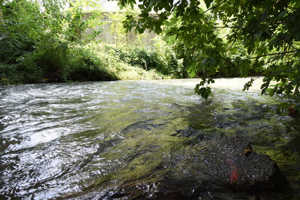 Ribnica je protekla sve do ušća sa Moračom nakon dvodnevnih kiša kada je u Podgorici palo 109 litara vode po metru kvadratnom, što nije uobičajeno krajem jula. Meteorolog Branko Micev kaže da je tokom jula palo 139 litara kiše po metru kvadratnom, i od ovogodišnjeg jula, samo je bio kišovitiji 2014. godine.