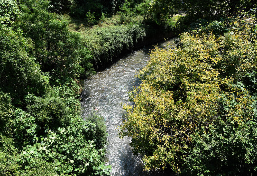 Ribnica je protekla sve do ušća sa Moračom nakon dvodnevnih kiša kada je u Podgorici palo 109 litara vode po metru kvadratnom, što nije uobičajeno krajem jula. Meteorolog Branko Micev kaže da je tokom jula palo 139 litara kiše po metru kvadratnom, i od ovogodišnjeg jula, samo je bio kišovitiji 2014. godine.