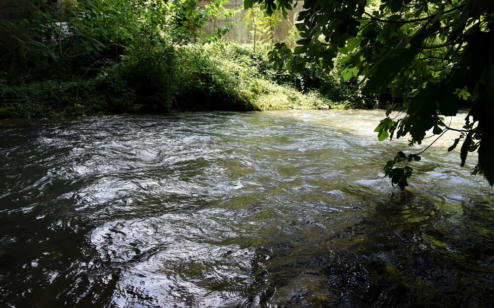 Ribnica je protekla sve do ušća sa Moračom nakon dvodnevnih kiša kada je u Podgorici palo 109 litara vode po metru kvadratnom, što nije uobičajeno krajem jula. Meteorolog Branko Micev kaže da je tokom jula palo 139 litara kiše po metru kvadratnom, i od ovogodišnjeg jula, samo je bio kišovitiji 2014. godine.