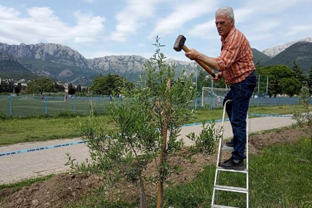 Banović, Foto: Info sport CG