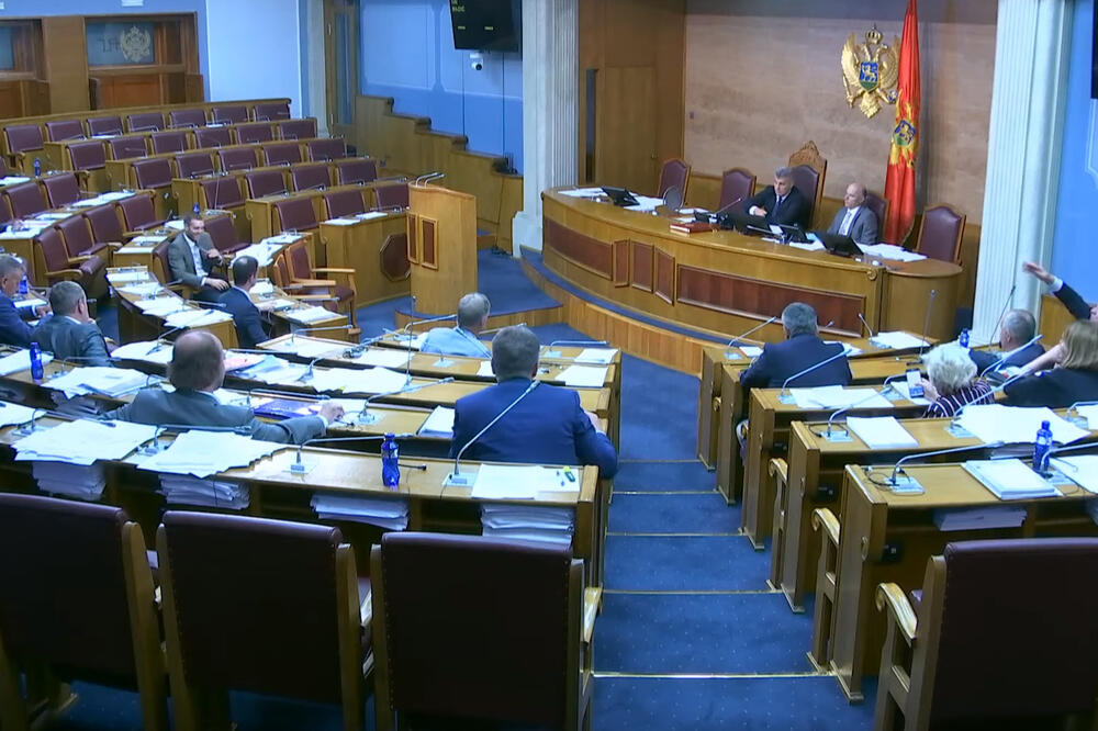 Sa današnje sjednice Skupštine, Foto: YouTube/Screenshot