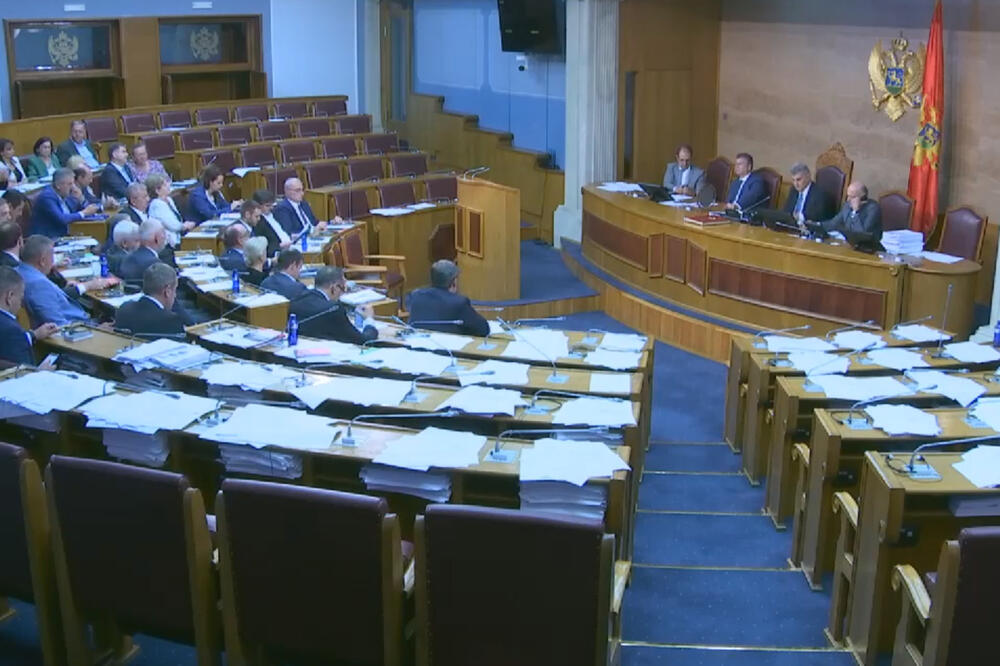 Sa današnje sjednice Skupštine, Foto: Screenshot/YouTube