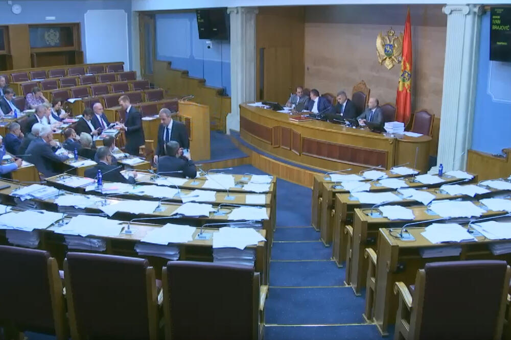 Detalj sa današnje sjednice Skupštine, Foto: Screenshot/YouTube