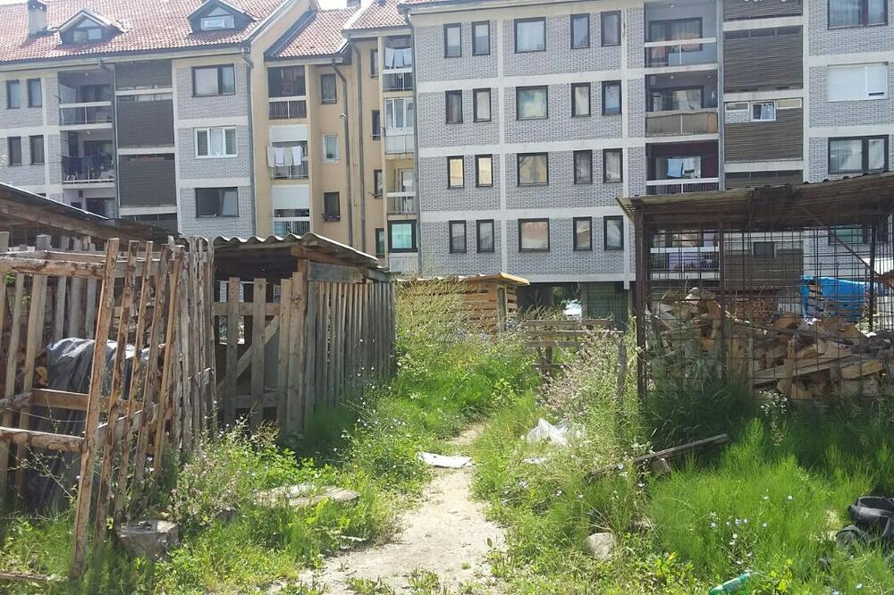 Naselje Rasadnik, Foto: Jadranka Ćetković